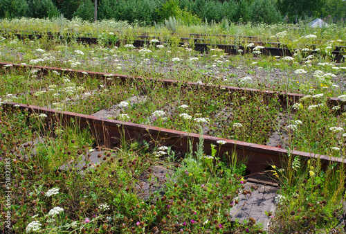 The railway tracks were overgrown with wild flowers on a summer day