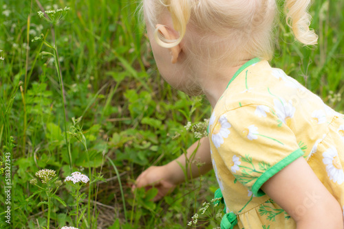 The baby reaches for a berry in a meadow among herbs
