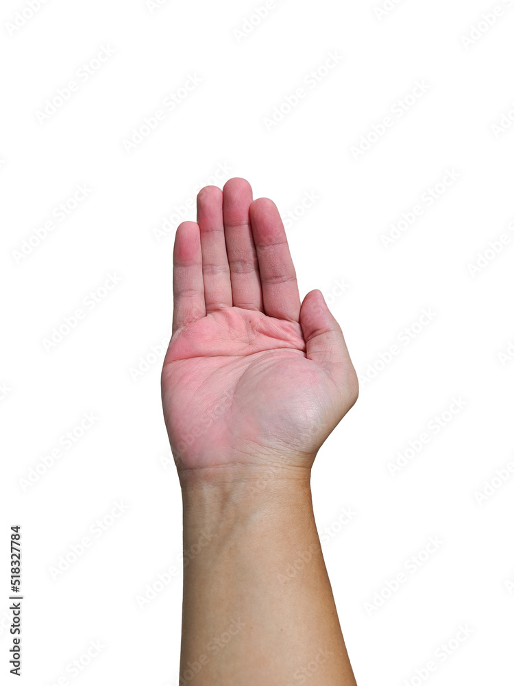 beautiful hand open. Gesture isolated on white background with clipping path. beautiful hand open. Gesture isolated on white background with clipping path.