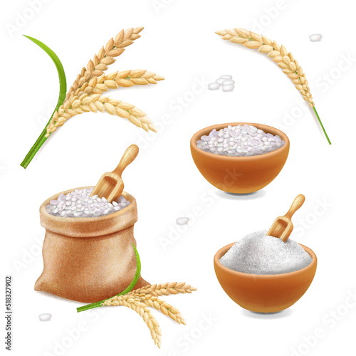 3d rice bag. Sack with grain, rice sereals, bowl with flour. farm products. Vector