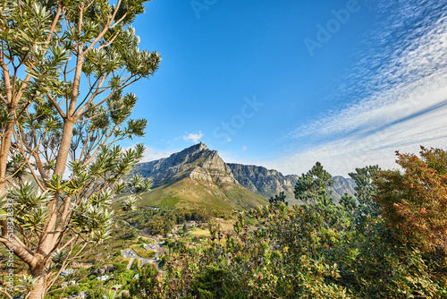 Landscape view of mountains background from a lush, green botanical garden and national park. Table Mountain in Cape Town, South Africa with blue sky and copy space while discovering peace in nature