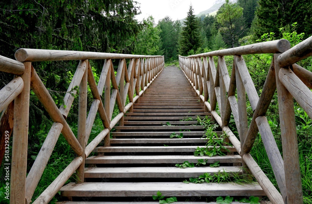 wooden staircase in the forest