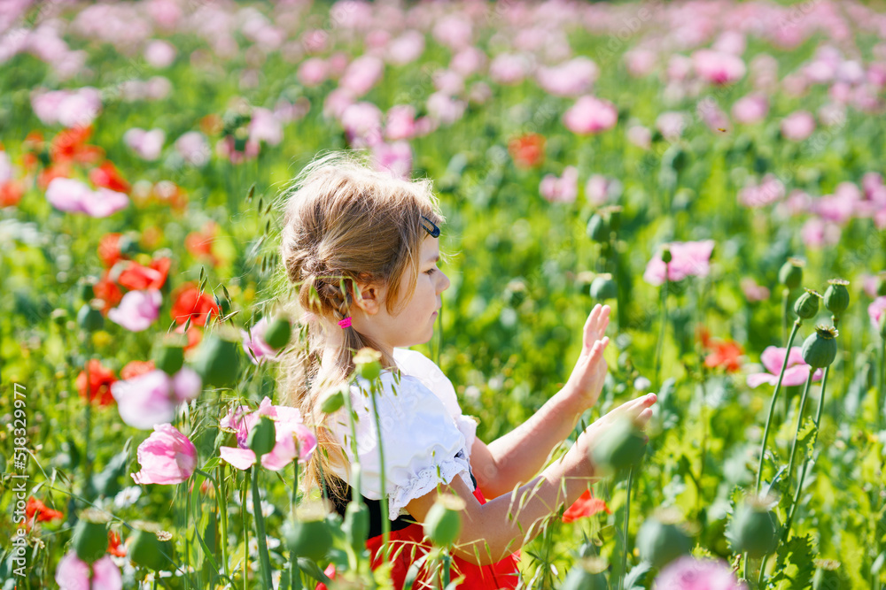 Little preschool girl in poppy field. Cute happy child in red riding hood dress play outdoor on blossom flowering meadow with pink poppies. Leisure activity in nature with children. Little preschool girl in poppy field. Cute happy child in red riding hood dress play outdoor on blossom flowering meadow with pink poppies. Leisure activity in nature with children.