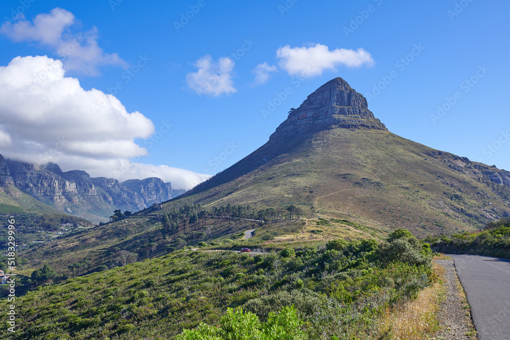 Fototapeta premium Lions Head mountain and green, natural landscape in Cape Town, South Africa. Outdoor hiking spot with blue sky backdrop and plants by a road. Beautiful view of nature while traveling.