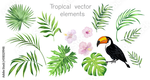 Tropical vector set for summer beach design. Isolated elements on a white background. Palm leaves, exotic flowes, birds of paradise.	
