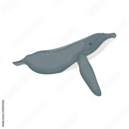blue whale icon