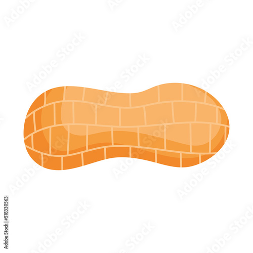 peanut icon image
