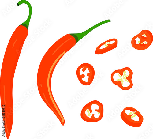 Hot pepper vector illustration. Hot pepper. Chilli. Cayenne pepper. Piece of pepper, pepper pieces with seeds, pepper circles, chopped pepper with seeds.