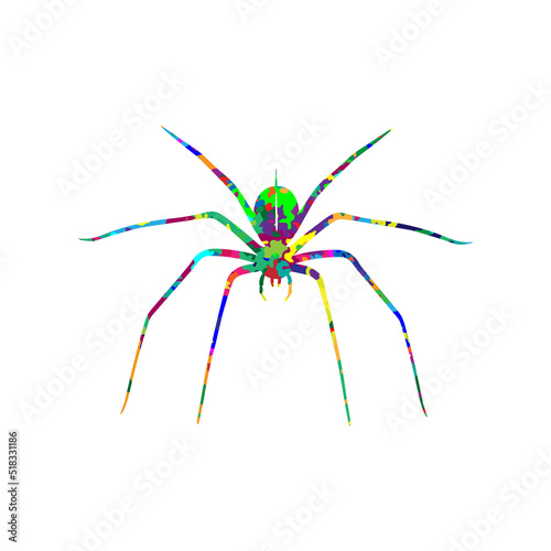 spider wall art illustration digital print