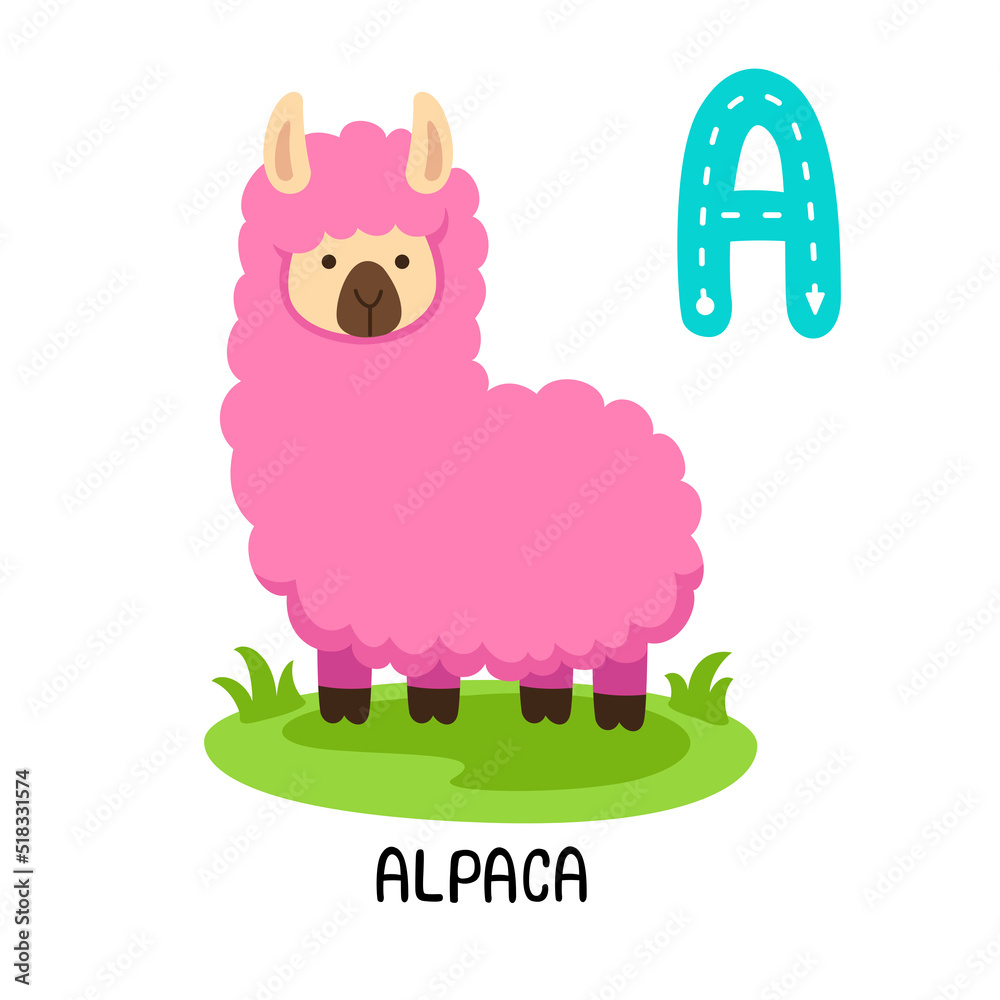 Illustration Isolated Animal Alphabet Letter A-Alpaca Illustration Isolated Animal Alphabet Letter A-Alpaca