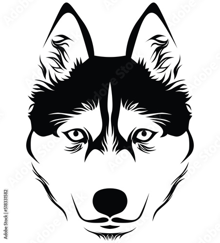 Face of husky. This image for design logo or illustration.