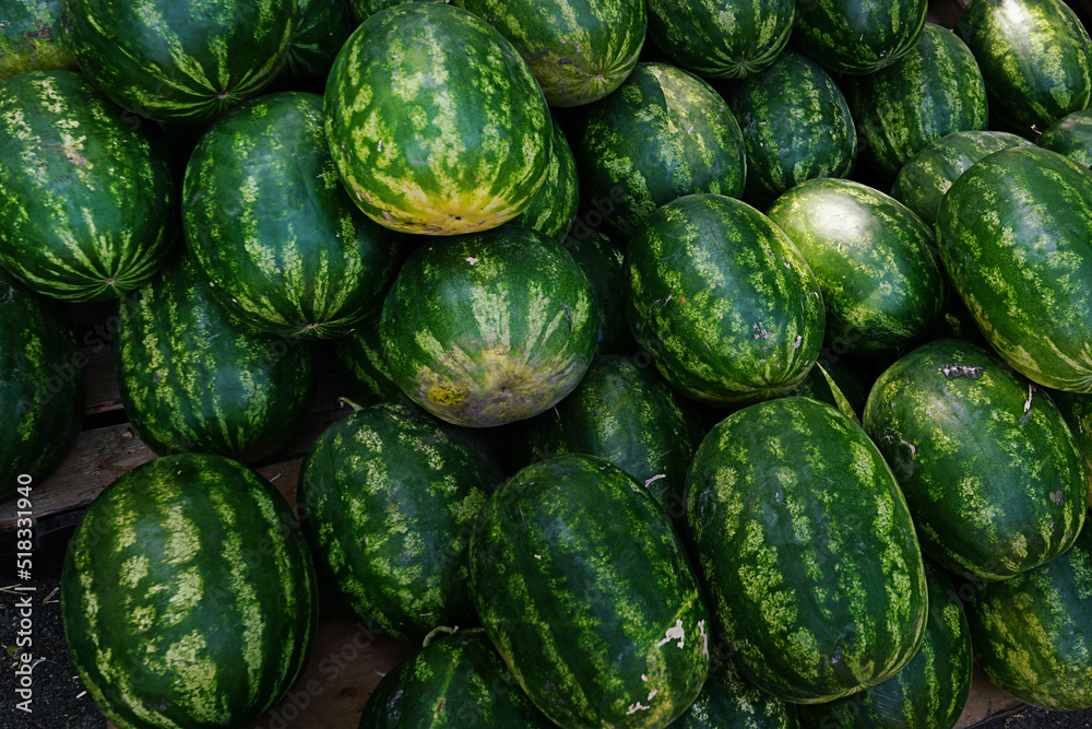 Heap of ripe watermelon fruit at market or supermarket boxes. Farm produce sale. Heap of ripe watermelon fruit at market or supermarket boxes. Farm produce sale.
