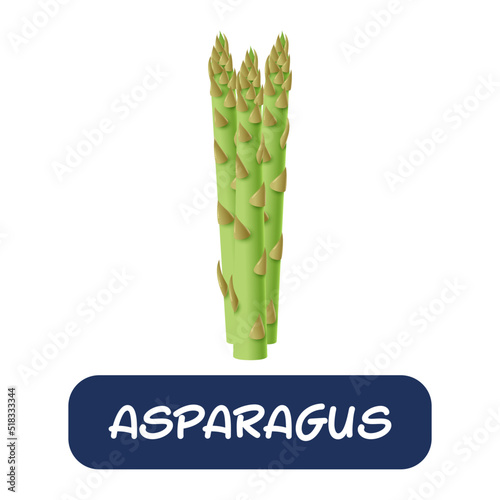 cartoon asparagus vegetables vector isolated on white background