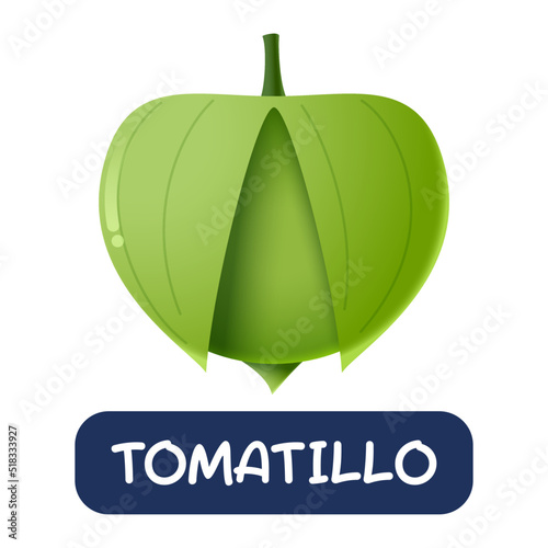 cartoon tomatillo vegetables vector isolated on white background photo
