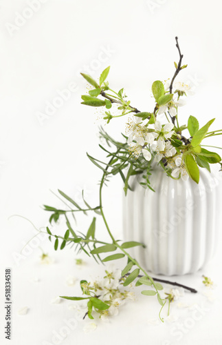 Spring blossiming cherry tw...