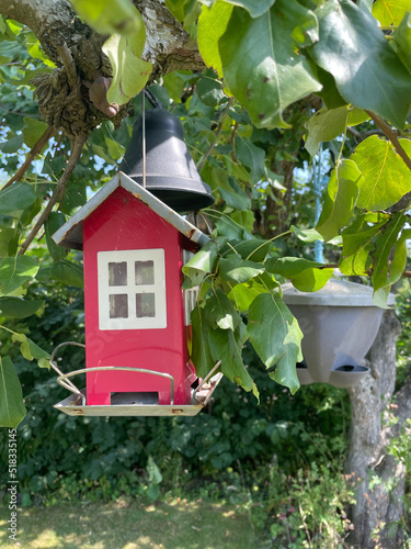 lantern in the garden, birdhouse, bird, birdnet,  © Stockholm Syndrome