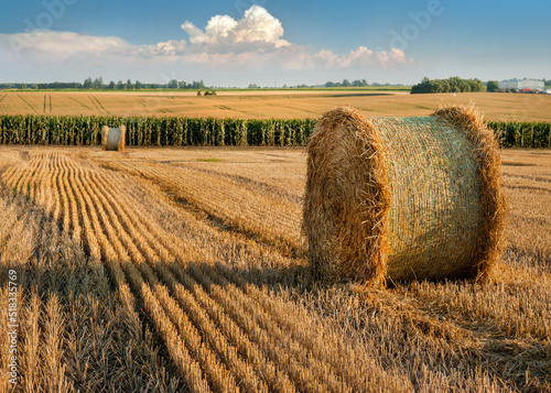 Big straw bale on stubble. lines on the stubble after the wheat harvested in ...