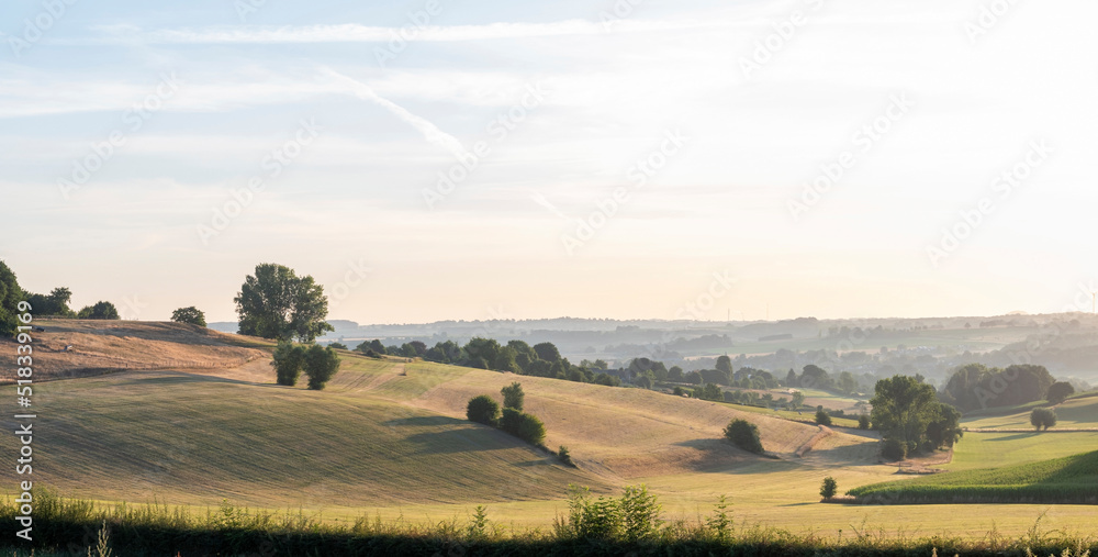 Obraz premium hills of south limburg in the netherlands under blue summer sky in the netherlands