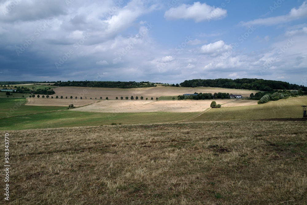 field of straw bales