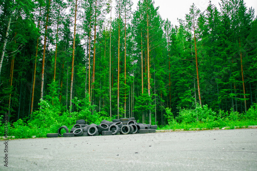 road in the forest