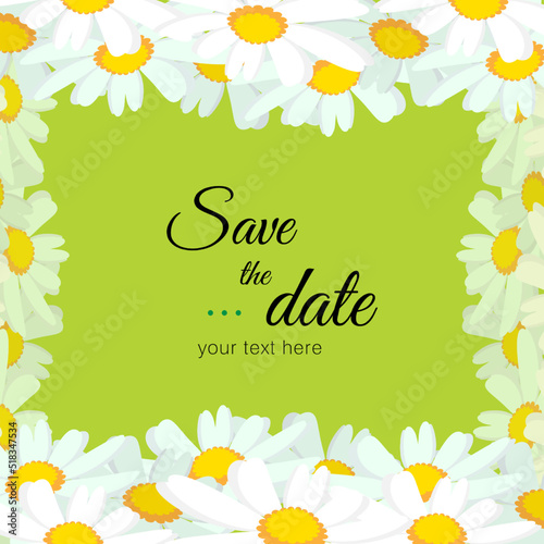 White chamomile or daisy flowers frame on green background. Spring flowers frame composition. Bright spring background design. Vector resizable illustration.