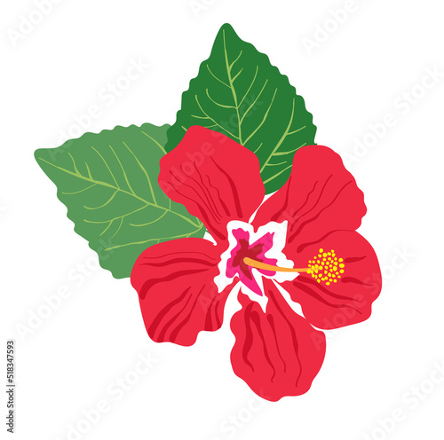 Fototapeta Naklejka Na Ścianę i Meble -  Colorful tropical placement print vector illustration with bright red single flower and leaves. Vacation getaway summer vibes