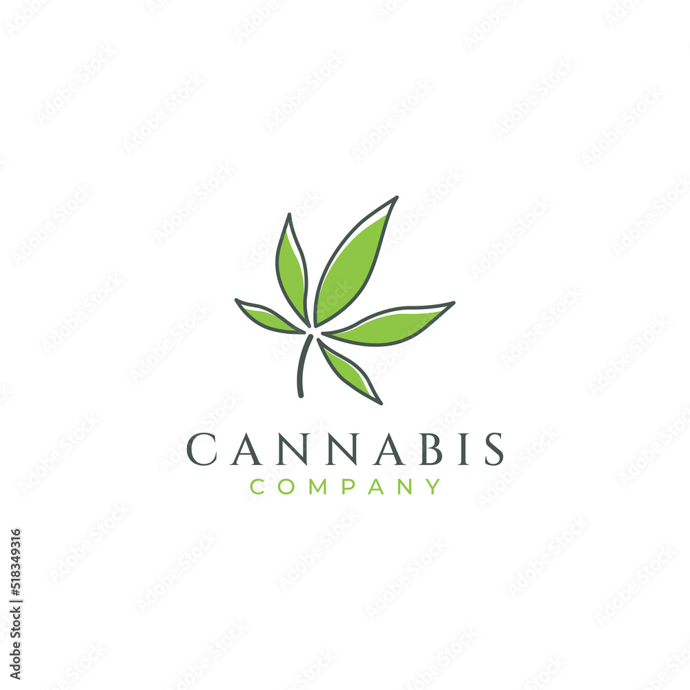 Marijuana or cannabis  leaf logo or illustration template vector design.