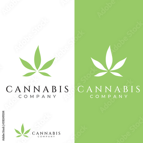 Marijuana or cannabis  leaf logo or illustration template vector design.