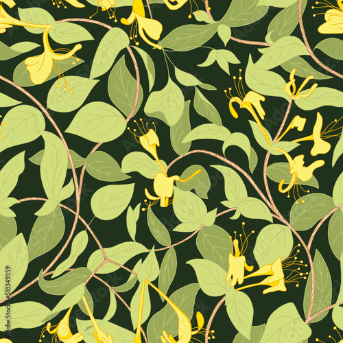 Blooming honeysuckle seamless pattern. Dark background for fashion, wallpapers, print, paper, cover, fabric, interior