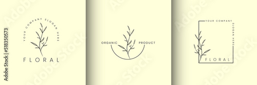 Luxury logo design collection. Natural and organic logo modern design. Natural logo for branding, corporate identity and business card	