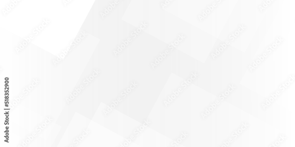 Fototapeta premium abstract white and gray background with lines white light & grey background. Space design concept. 
