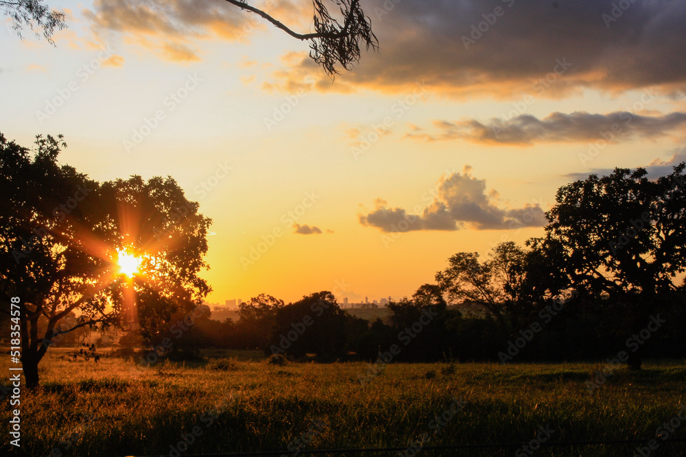 sunset in the field sunset in the field
