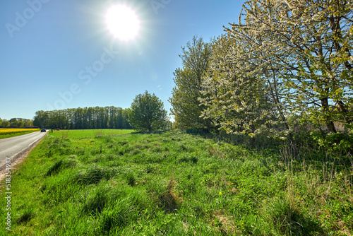 Road to outdoor nature on a warm sunny day in spring. Route in beautiful adventure landscape with sun  blue sky  green grass and trees. On a highway trip in the countryside for the love of travel.