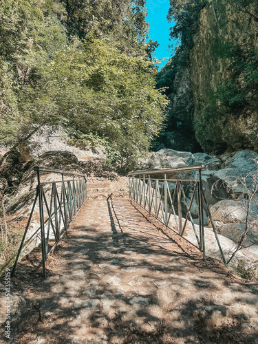 wooden bridge in the forest