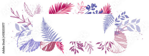 Leaves and ferns background - Hand drawn colorful plants set modern and universal. Flower branch and minimalistic plants. Hand drawn lines, elegant leaves for your own design.