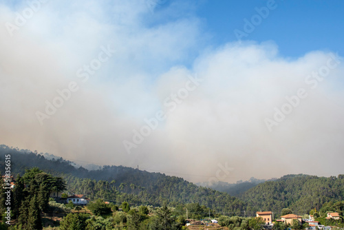 Un vasto che incendio ha colpito le colline di Massarosa (LU) distruggendo 900 ettari di boschi