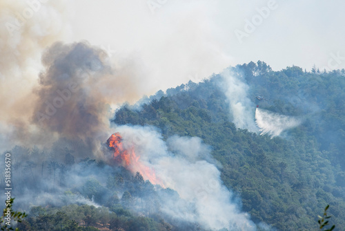 Un vasto che incendio ha colpito le colline di Massarosa (LU) distruggendo 900 ettari di boschi photo