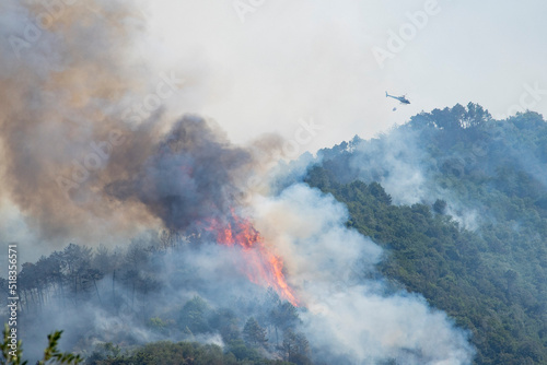 Elicottero al lavoro su un  vasto incendio ha colpito le colline di Massarosa (LU) distruggendo 900 ettari di boschi photo