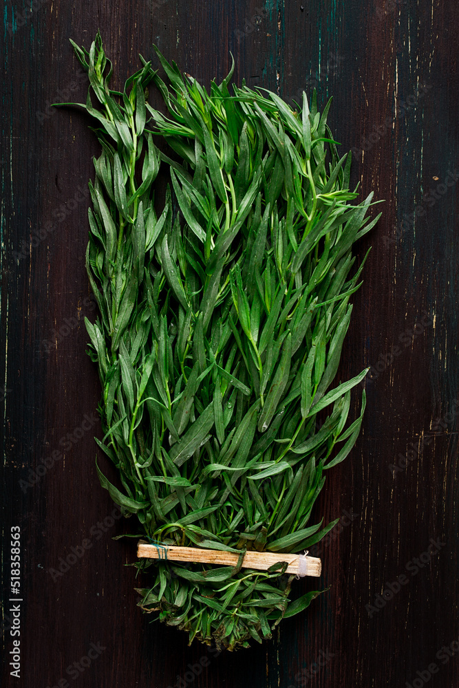 Fresh Tarragon , bunch, top view, close-up, no people, Fresh Tarragon , bunch, top view, close-up, no people,