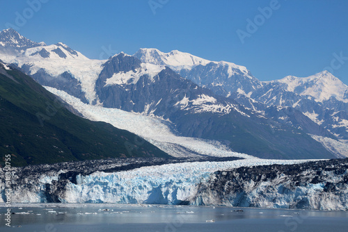 Harvard Glacier in College Fjord, Alaska    