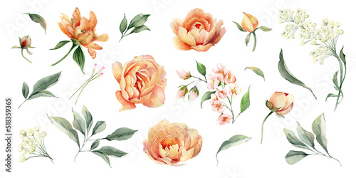 Watercolor Peony boho flowers clipart. Hand painted peach color floral illustration. Bouquet for DIY greeting cards, Wedding stationary, posters, wedding invitations.  isolated on white background
 photo