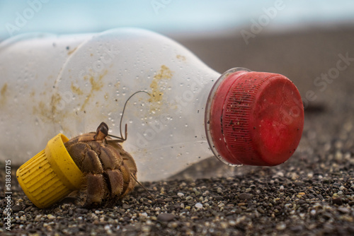 Hermit crab carry a plastic cap in beach between rubbish photo