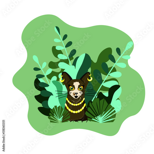 beautiful cat in jewelry among thickets of foliage
