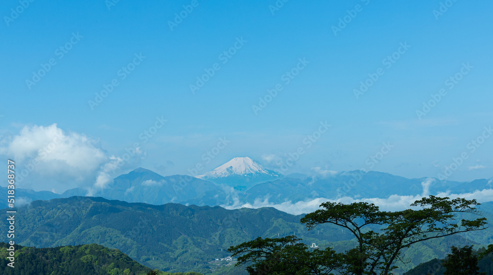 Mt.fuji seen from Mt.Oyama(大山)