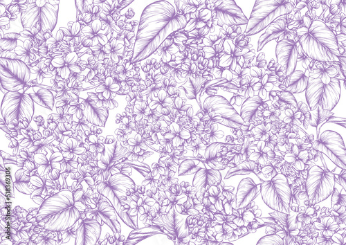 Seamless background with lilac flowers. Vector illustration. Isolated on white background.