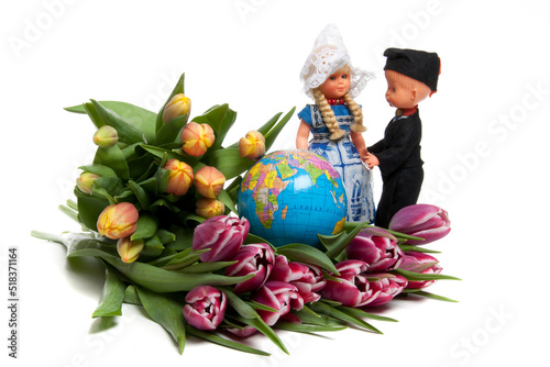 Obraz na płótnie Tulips from Holland w salonie