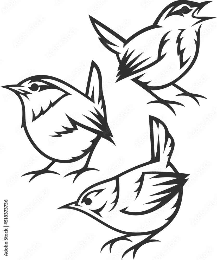 Foto Stylized Birds - Eurasian Wren
