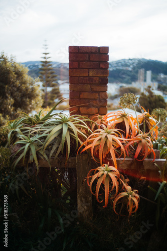 New Zealand Road Trip