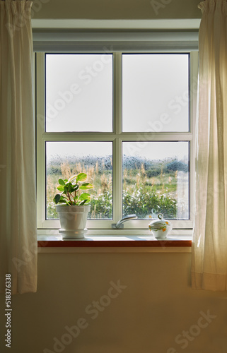 A vase of fresh Baby Rubber plants placed on a windowsill with copy space. Beautiful round leaves against soft sunlight in a house. Green leafy shoots adding beauty and nature to an empty home space © SteenoWac/peopleimages.com