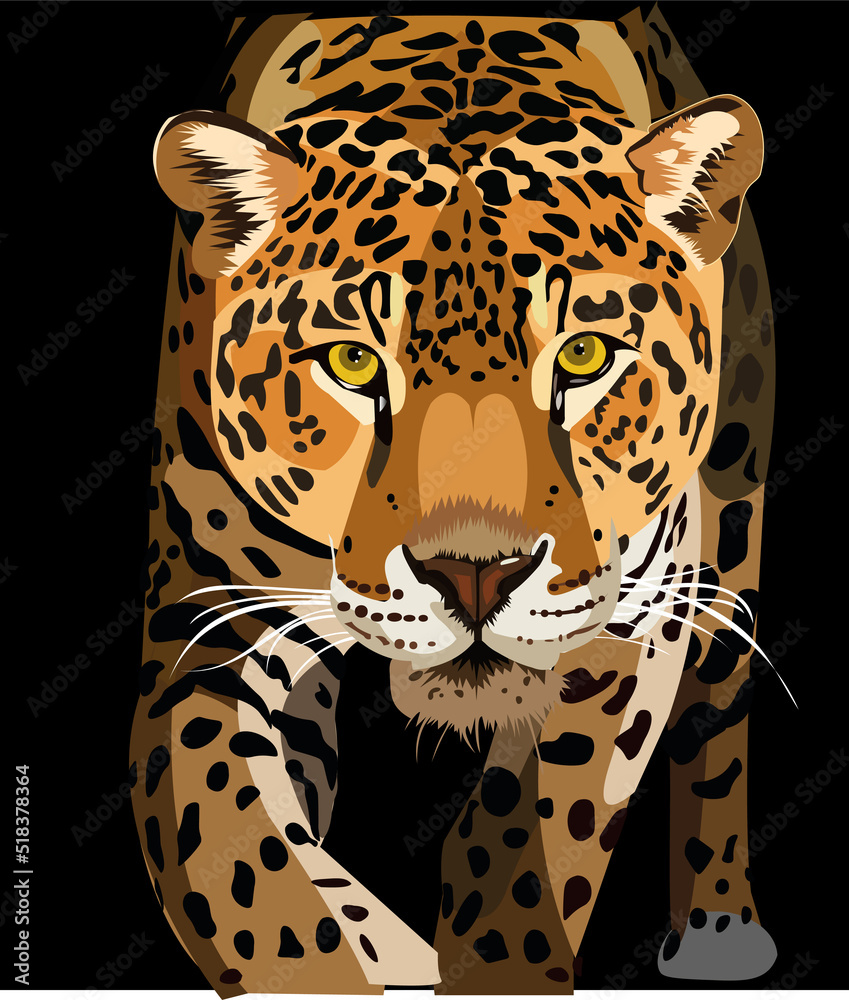 Obraz premium leopard on black